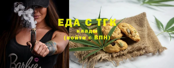 гидра Богородск