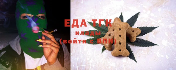гидра Богородск