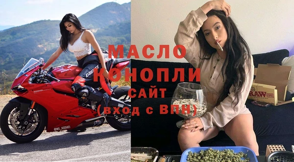 гидра Богородск