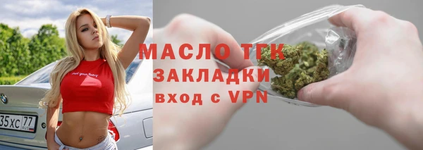 гидра Богородск