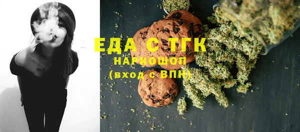 гидра Богородск