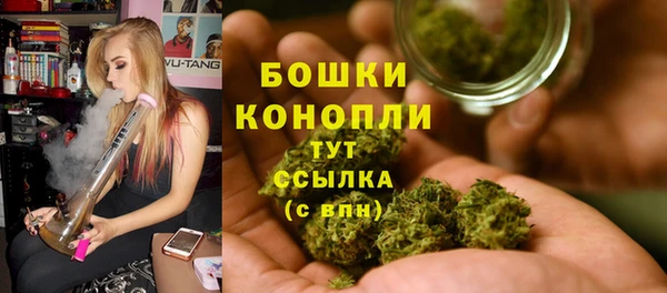 мдпв Верхний Тагил