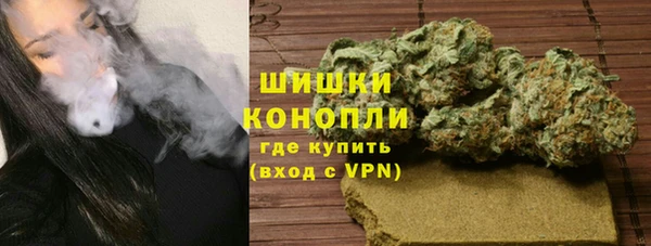гидра Богородск